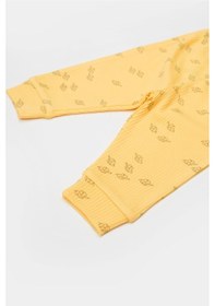 Resim Organik Modal Fil Baskılı 3 Lü Set 001 