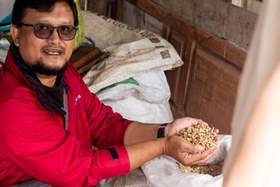 Resim Indonesia Tiga Kali Mang Tempayan / Natural - Moka Pot / 250 gr 