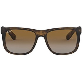 Resim Ray-Ban Youngster RB4165 Dikdörtgen Kahve Polarize Erkek Güneş Gözlüğü 