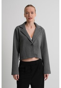 Resim Alexander Gardi Alexandergardı Astarsız Crop Blazer Ceket Koyugri 