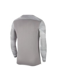 Resim Nike M Nk Df Park Iv Jsy Gk Cj6066-052 Kaleci Forma Gri 