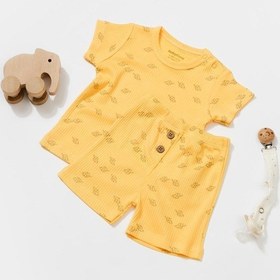 Resim Organik Modal Fil Baskılı 2 Li Takım Csym11702 001 