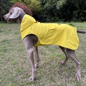 Resim FLYING TAIL Köpek Yağmurluğu - Ayarlanabilir Yumuşak File Kumaş, Kapatmalı, Kaymaz Tasarım & Küçükten Büyüğe Köpekler için Nefes Alabilen File, Hafif & Rahat Dış Mekan Yürüyüşleri için, Köpek Yağmurluğu, Evcil Hayvan Yağmurluğu, Güvenli Oturma Tasarımı, Dayanıklı Evcil Hayvan Giyim 