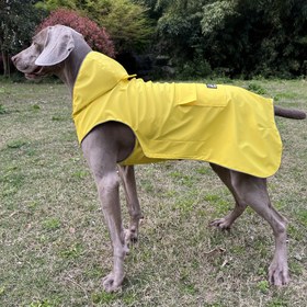 Resim FLYING TAIL Köpek Yağmurluğu - Ayarlanabilir Yumuşak File Kumaş, Kapatmalı, Kaymaz Tasarım & Küçükten Büyüğe Köpekler için Nefes Alabilen File, Hafif & Rahat Dış Mekan Yürüyüşleri için, Köpek Yağmurluğu, Evcil Hayvan Yağmurluğu, Güvenli Oturma Tasarımı, Dayanıklı Evcil Hayvan Giyim 
