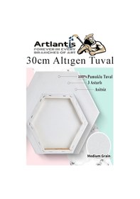 Resim Altıgen Tuval 30 Cm 3 Adet Arkadan Zımbalı Astarlı Resim Tuvali Akrilik Boya Yağlı Boya Altıgen Şekil Tuval Ressam Sanat 