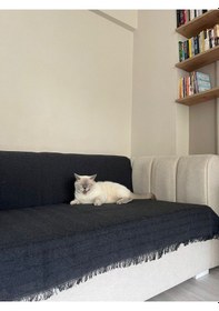 Resim Koltuk Örtüsü Balıksırtı Desenli Bej 