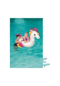 Resim Pegasus Tutmalı Binici 150 X 117 Cm 