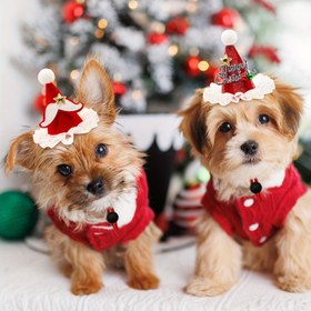 Resim 1 Adet Eğlenceli Evcil Hayvan Aksesuarı, Noel Baba Tasarımı ile Noel Köpek Şapkası, Küçük Köpekler ve Kediler için Sevimli Tatil Başlıkları, Eğlenceli Güzellik Dekorasyonu 