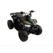 Resim Skyjet 110 cc off-road ATV SİYAH 