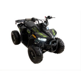 Resim Skyjet 110 cc off-road ATV SİYAH 
