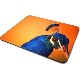 Resim Tavuskuşu Temalı Mouse Pad 