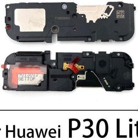 Resim Huawei P30 LİTE FULL Buzzer (Dış Ses Hoparlör) 