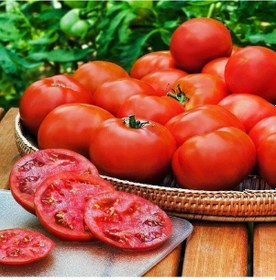 Resim Doğal Floridade Domates Tohumu 20 Tohum 1 Set 