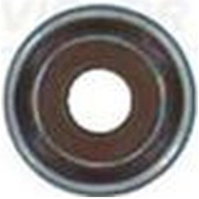 Resim V.reınz 702117000 - Subap Lastiği Renault Clıo V 19 Captur Iı 20 