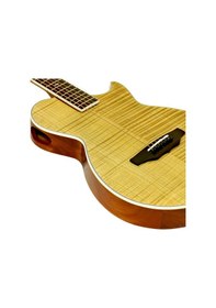 Resim Aria Ape100n Elektro Akustik Gitar 