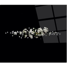 Resim Olinpa Cam Ocak Arkası Koruyucu | Çiçek 