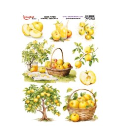 Resim Pirinç Dekopaj Kağıdı 30x42cm Pt-3833 Elma 