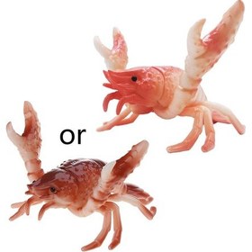 Resim Ganzhoushop Japonca Yaratıcı Sevimli Istakoz Kalemlik Ağırlık Kaldırma Istakoz Kalemlik Braket Depolama Rafı Hediye Kırtasiye Kırmızıyeşil 