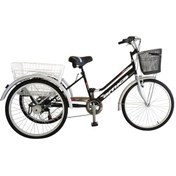 Resim Arnica Kargo 24" Jant 6 Vites Üç Tekerlekli Kargo Bisiklet Altın - Parlak Siyah 