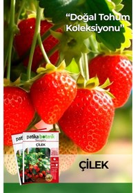 Resim Patika Botanik 100 Adet Sarmaşık Çilek Tohumu 