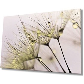 Resim Miyrem Glasses Collection -a1^ Sarı Karahindiba Cam Tablo 