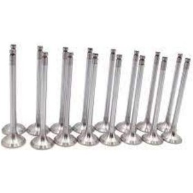 Resim Nissan Terrano 2002-2006 Supap Takımı 13201-2W201 13202-2W200 