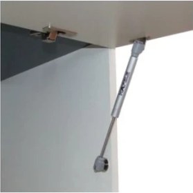 Resim Hafele Notus Gazlı Piston 100N (4 Adet) 