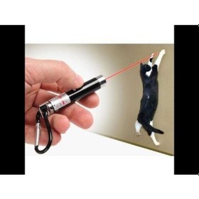 Resim 4 Yedek Başlıklı Pilli Kedi Oyuncağı Lazer Anahtarlık 