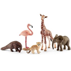 Resim Schleich Wild Life Hayvan Seti 42388 