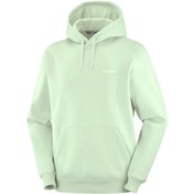 Resim Salomon Logo Hoodie Erkek Sweatshirt 