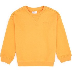 Resim U.S. Polo Assn. Erkek Çocuk Mango Bisiklet Yaka Basic Sweatshirt 50313829-VR244 
