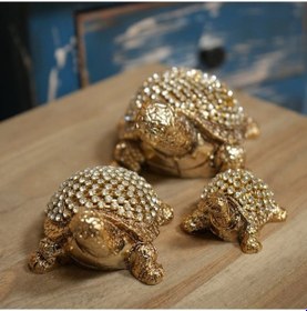 Resim 3'lü Kaplumbağa Taşlı 