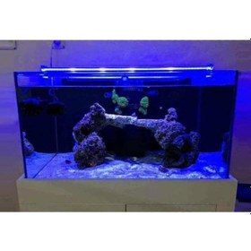 Resim Orionled Akvaryum Led Aydınlatma Mavi 30cm 