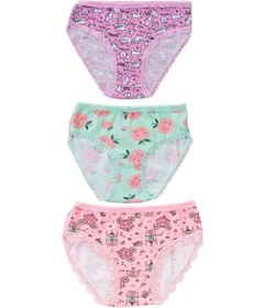 Resim Pemilo Kız Çocuk 840 Desenli 3'Lü Slip Renkli 