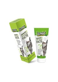 Resim Immune & Skin Support Bagışıklık Deri Ve Tüy Sağlığı Destekleyeci Kedi Malt Macunu 75 Ml Cb62 