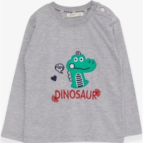 Resim Breeze Erkek Bebek Uzun Kollu Tişört Dinozor Nakışlı 9 Ay-3 Yaş, Gri Melanj 