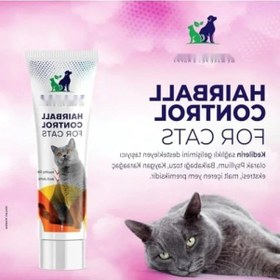 Resim Kedi Tüy Yumağı Önleyici Multivitaminli Malt Macun, 100 Ml 