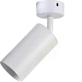 Resim Retro Metal Mafsallı Beyaz Dekotatif Spot Günışığı Ampul 