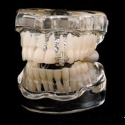 Resim RICH ONE AND ONLY GRILLZ NO.3 (Ön Sipariş) 