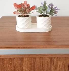 Resim Beton Saksıda Yeşillik Pudralı Masa Çiçeği 2 Li Mor -Açık Yeşil Mor Turuncu Tek Ebat 