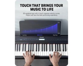 Resim Braventa Collection Dep-20 Dijital Piyano (Siyah) 