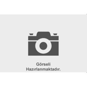 Resim C271250/1 81084050016 81084050020 81084050021 Hava Fıltresı Dış Man Tga 184 