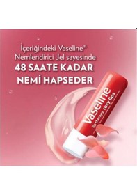 Resim Lip Therapy Rosy Lips Dudak Bakım Kremi 4,8 G 