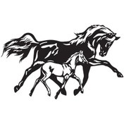 Resim At Ve Yavrusu Tip 1 100x60 Cm 