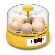 Resim Hepta Collection Mini Otomatik Ev Tipi Kuluçka: Elektrikli Tavuk ve Kuş Kuluçka Makinesi 6 Yumurtalı MX-6 