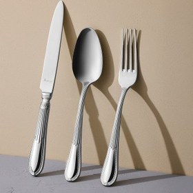 Resim Aryıldız Nature 84 Parça 12 Kişilik Çatal Kaşık Bıçak Takımı 