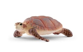 Resim Deniz Kaplumbağası 