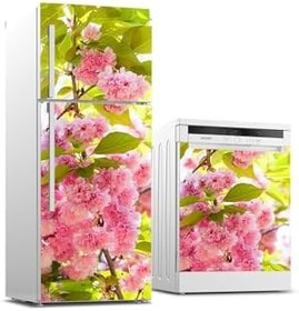 Resim Buzdolabı Ve Bulaşık Makinesi Takım Sticker 0077 