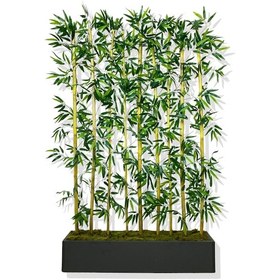 Resim Cihan Çiçekçilik Bambu Seperatör 180 Cm 9 Adet Bambu 100 Cm Antrasit Saksı 