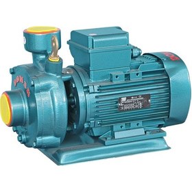 Resim Domak Slg1 - 2k 1,5hp 220v 2 Kademeli Monoblok Elektropomplar 